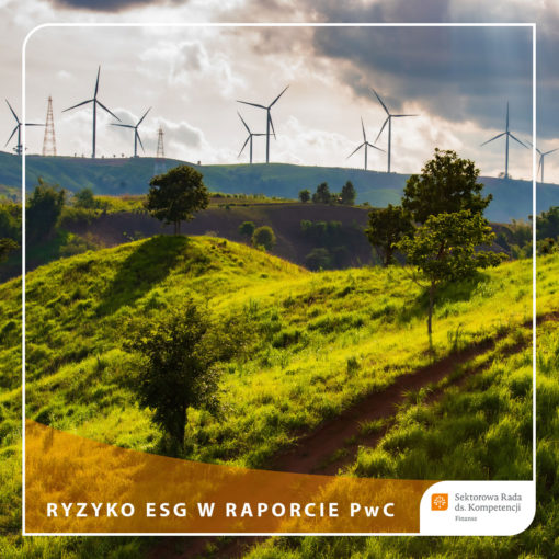 Raport - ESG - miecz Demoklesa czy szansa na strategiczną zmianę - PwC, FRN, CFA Society Poland, SN CRN - Ryzyko ESG w raporcie PwC