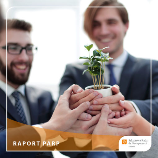 SRK Finanse - Raport PARP